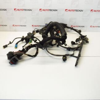 Citroën Peugeot 2.0HDI RHR 9660296480 9658279580 656989 kábelköteg