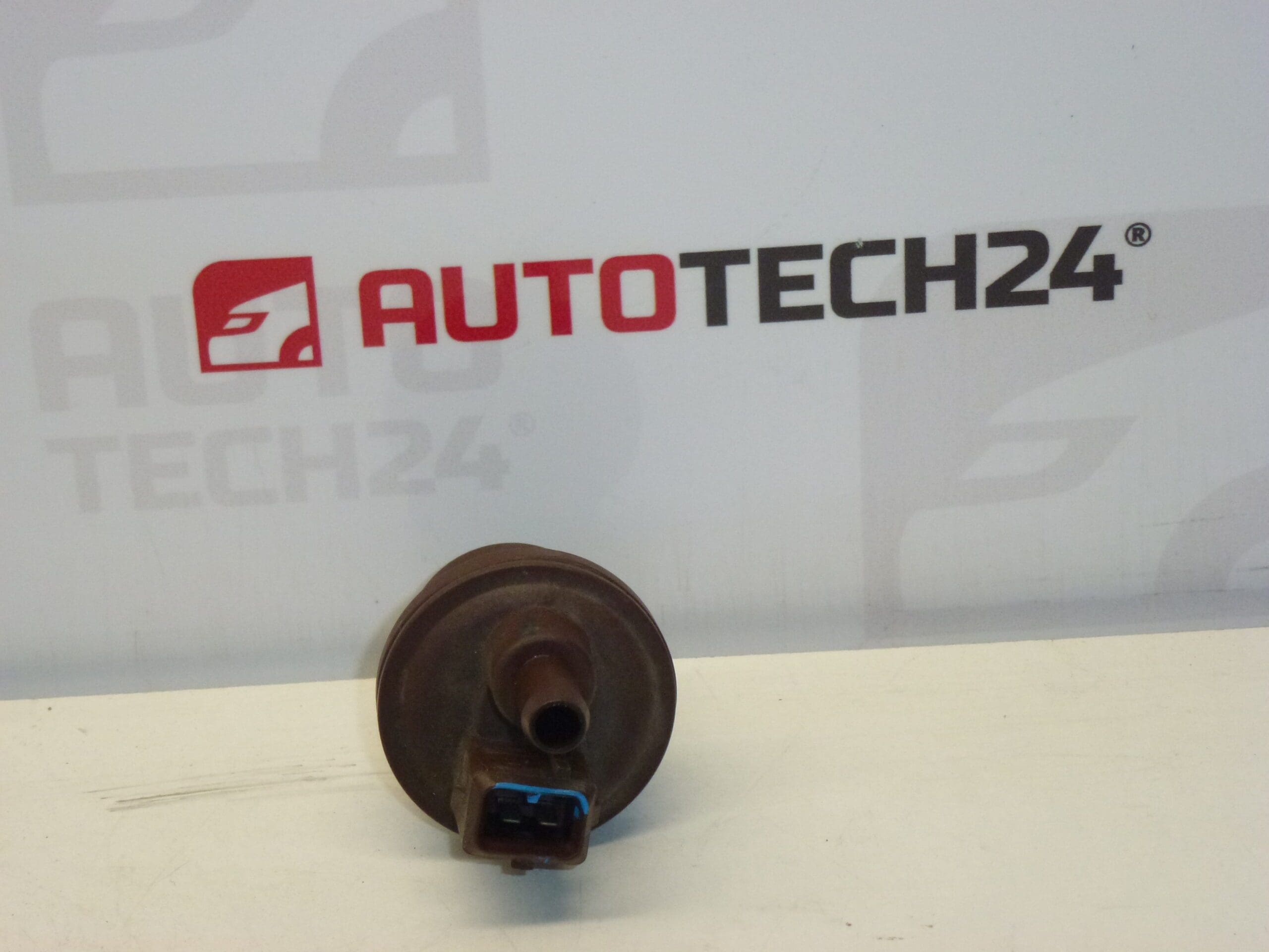 Aktív szén szelep Citroën Peugeot 2580008C 16287G