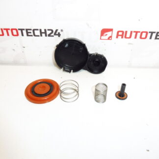 Szelepfedél membránkészlet 1.6 HDI 0248S0