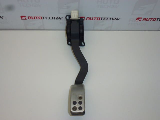 Gázpedál Peugeot 307 CC Bosch 0280755029 9647781377 1601N7