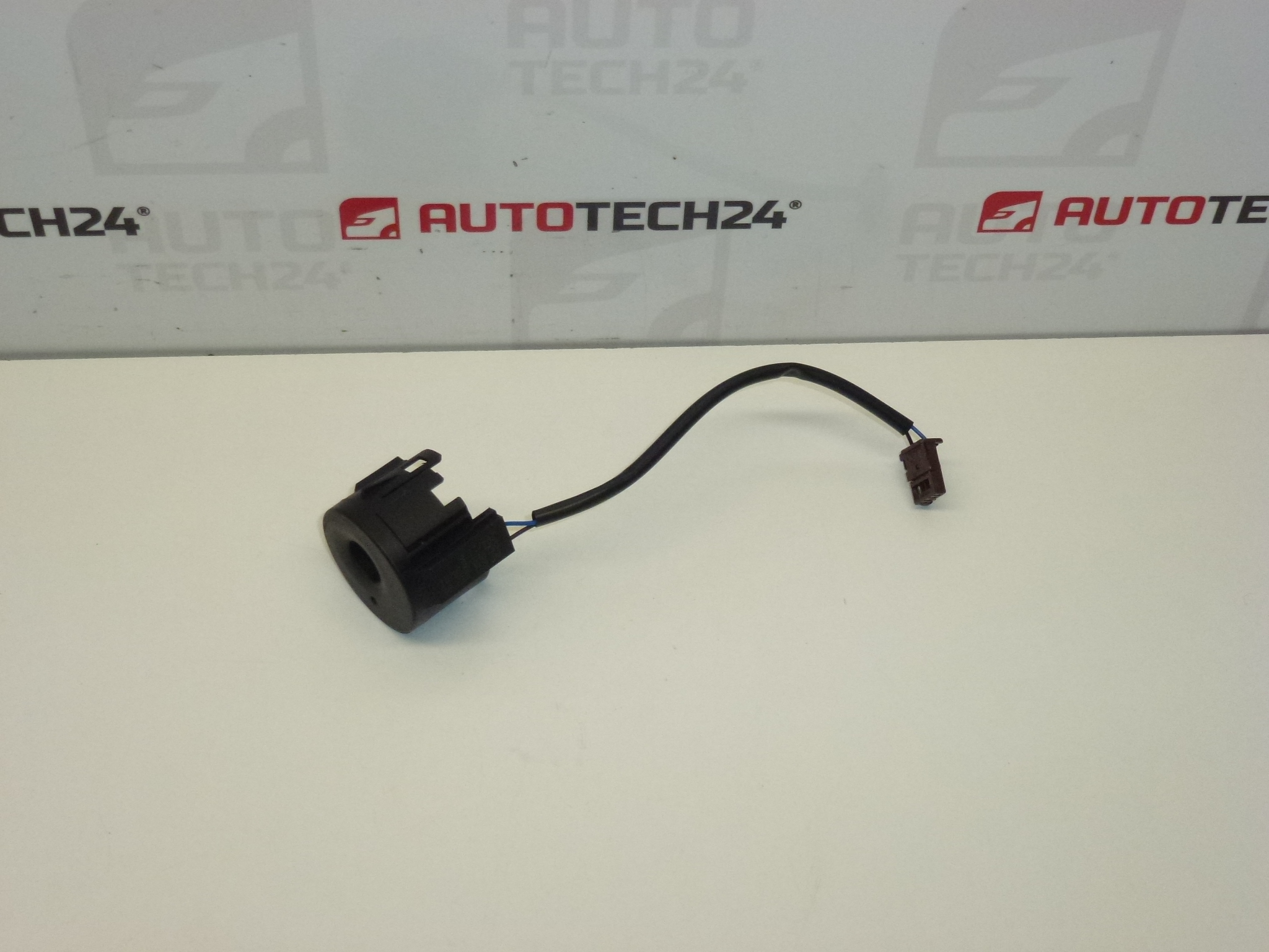 Transzponder antenna immo 9663123380 6160C1