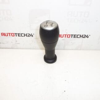 Heads SensoDrive Citroën Peugeot 2403Z2