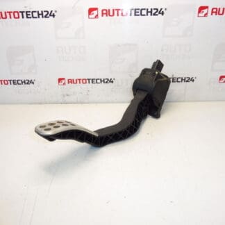Gázpedál Peugeot 307 CC Bosch 0280755081 9680566080 1601T7