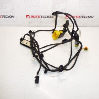 Citroen C4 Picasso utasülés heveder 6505V8