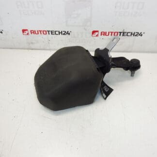 Hátsó biztonsági öv Citroen C3 II A51 DS3 98019948XX